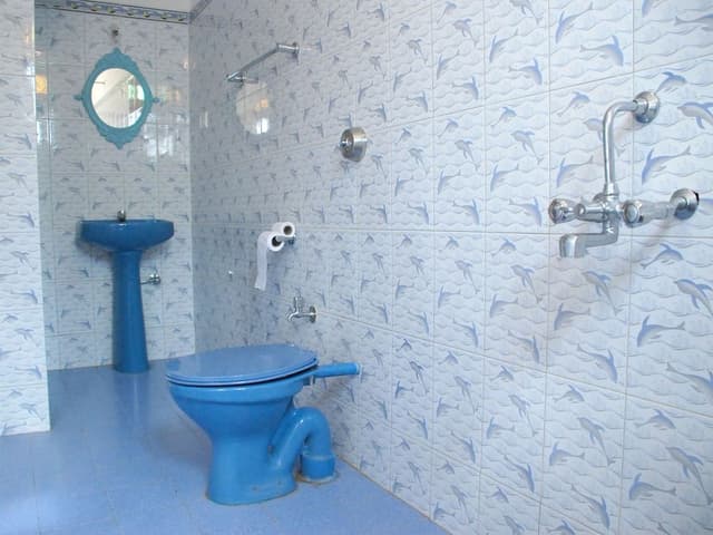 Premium Room (AC)