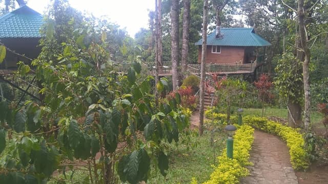 Standard Tree House, 1 Bedroom, Bathtub, Hill View