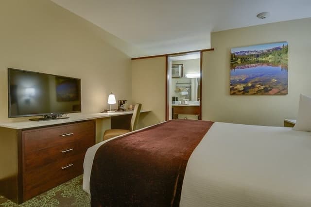 Single Room, 1 King Bed, Accessible