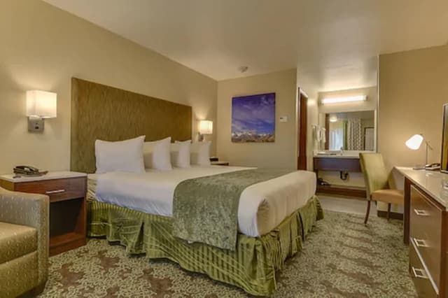 Single Room, 1 King Bed, Accessible