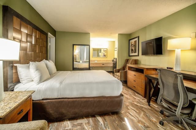 Junior Double Room