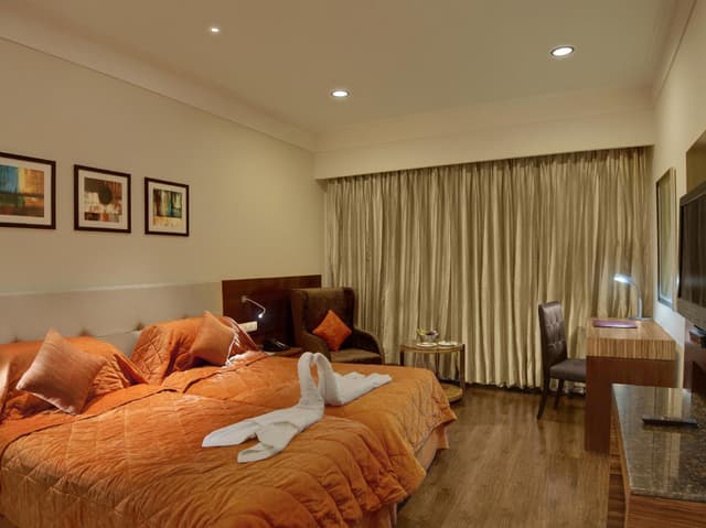 Deluxe King Bed Room