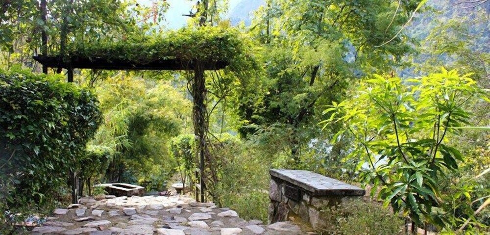 Tree of Life Himalayan Hideaway Lodge4