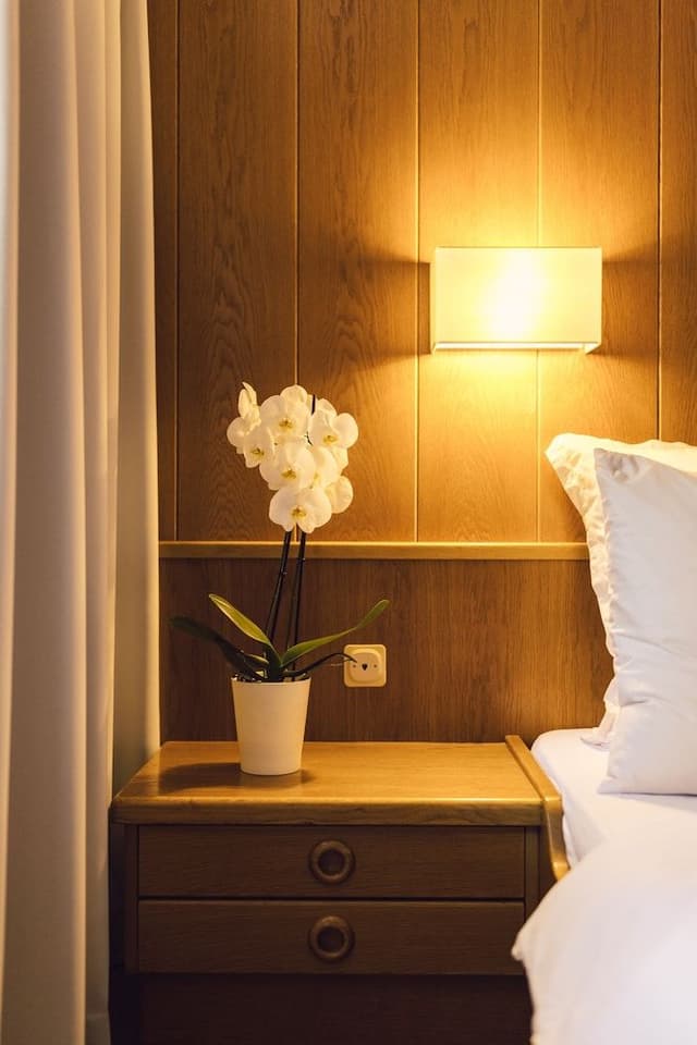 Double Room (Waldblick)