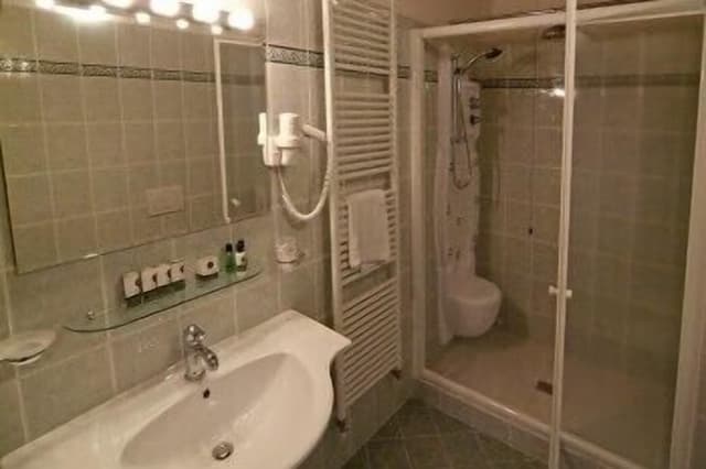 Superior Double or Twin Room (Special Hydromassage Shower)