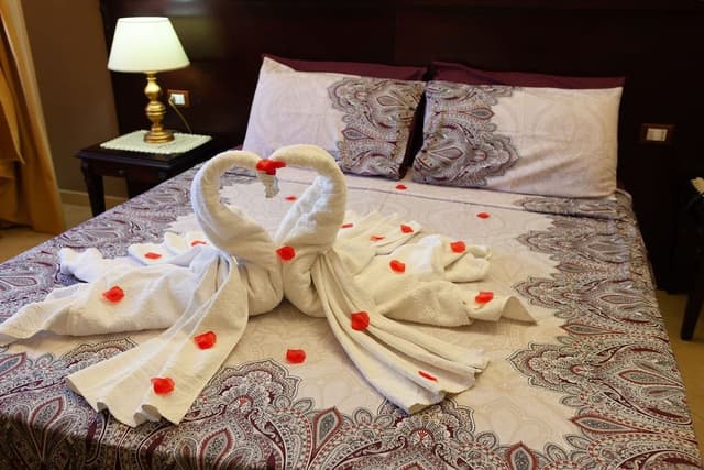 Double Room Single Use