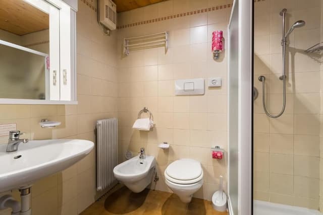 One-Bedroom Apartment - Attic (5 adults)
