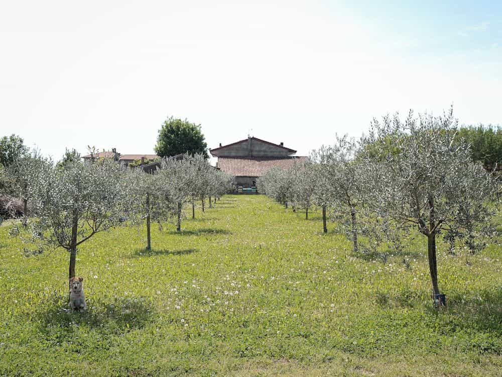 Villa Bongiovanni