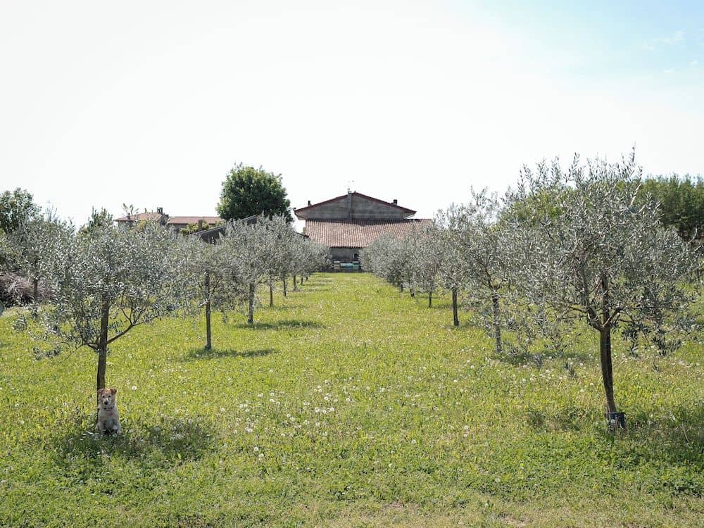 Villa Bongiovanni Villa Bongiovanni