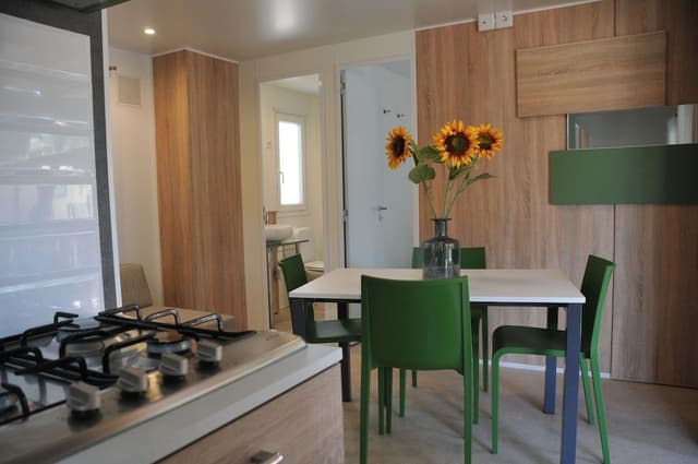 Premium Mobile Home
