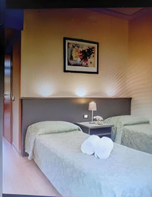 Business Single Room,1 Twin Bed