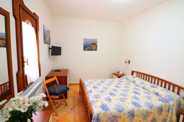 Basic Double Room