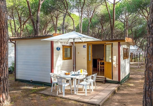 Luxury Mobile Home