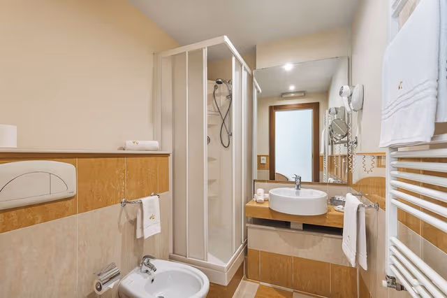 Superior Double Room Single Use