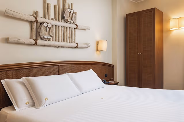 Superior Double Room Single Use