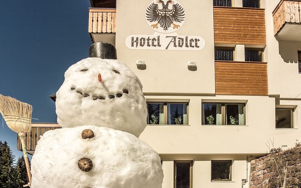 Hotel Adler1