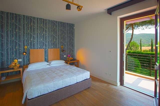 Standard Double Room, 1 King Bed
