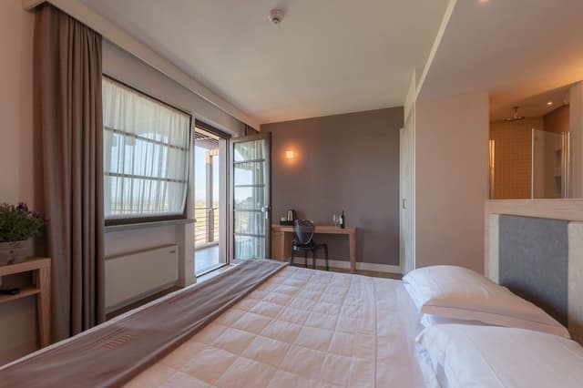 Standard Double Room, 1 King Bed