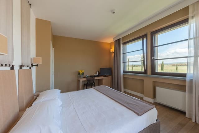 Standard Double Room, 1 King Bed