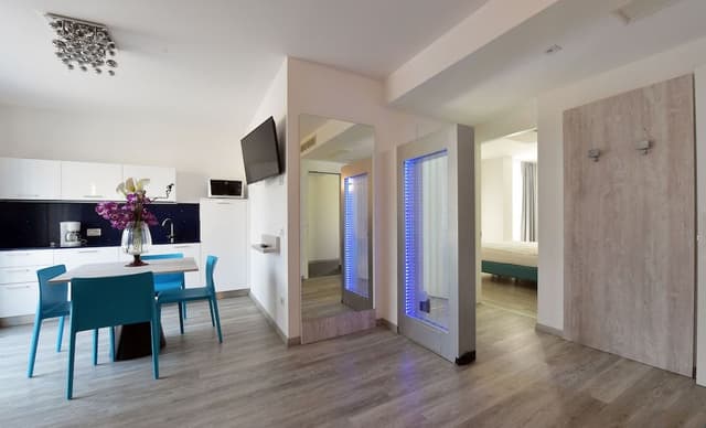 Premium Apartment, 1 Queen Bed with Sofa bed, Mountain View