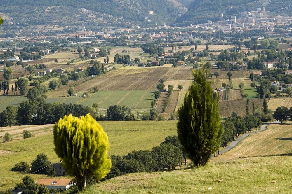 Azienda Agraria Montelujano0