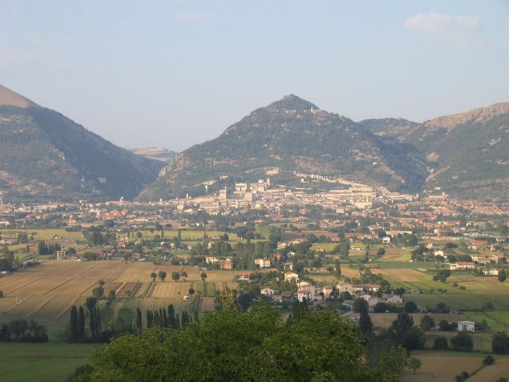 Azienda Agraria Montelujano2