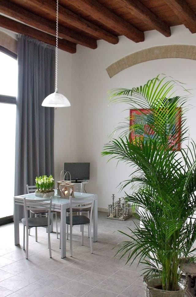 Apartment, 1 Bedroom, Accessible