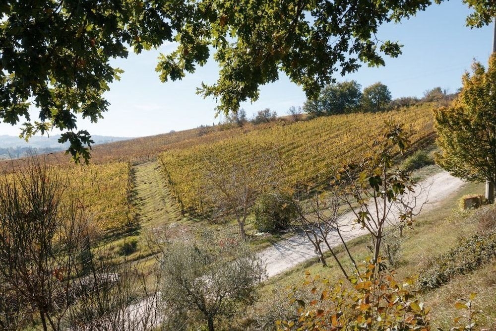Podere dell'Anselmo3