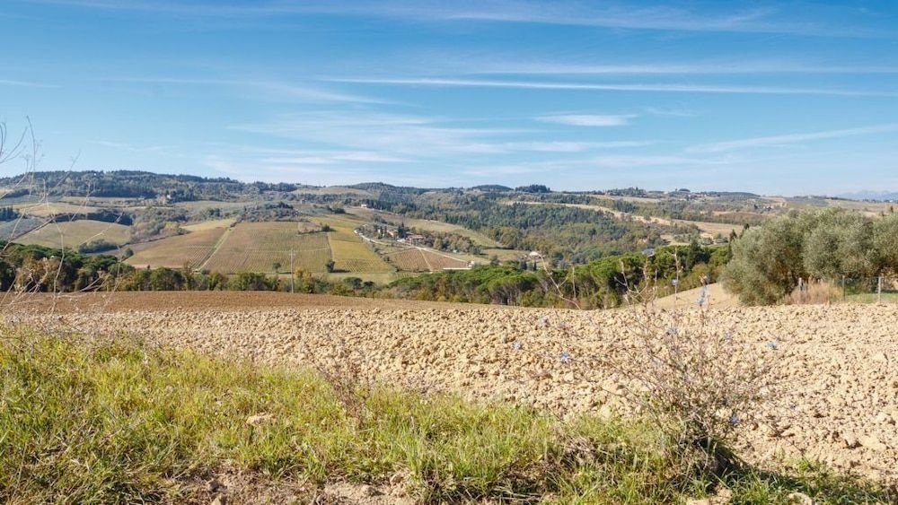 Podere dell'Anselmo1
