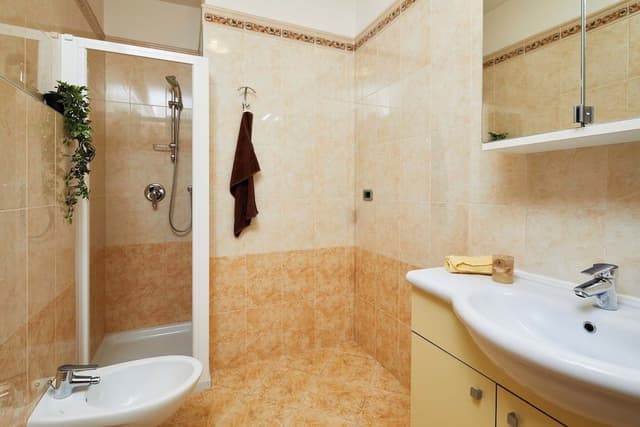 Comfort Apartment, 1 Bedroom