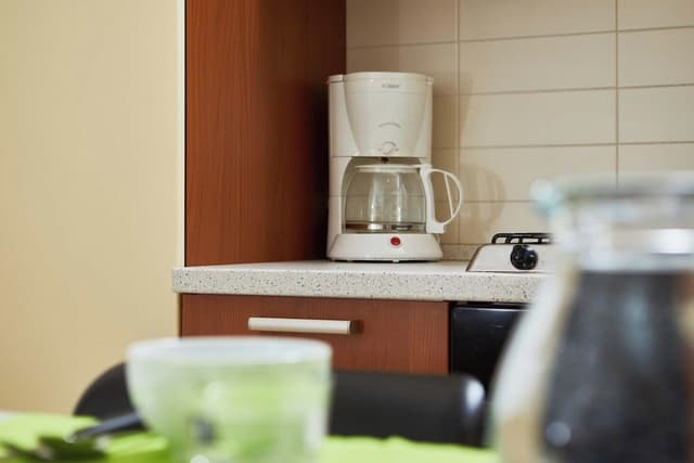 Comfort Apartment, 1 Bedroom
