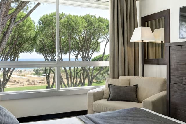 Executive Room, Connecting Rooms