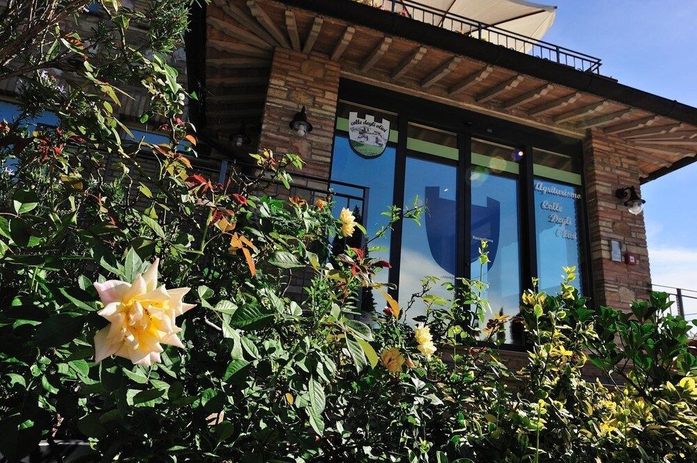 Agriturismo Colle degli Olivi4