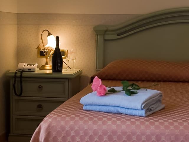 Basic Double Room, 1 Double Bed