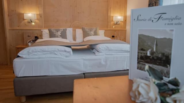 Classic Double or Twin Room