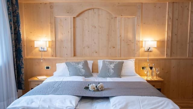Classic Double or Twin Room