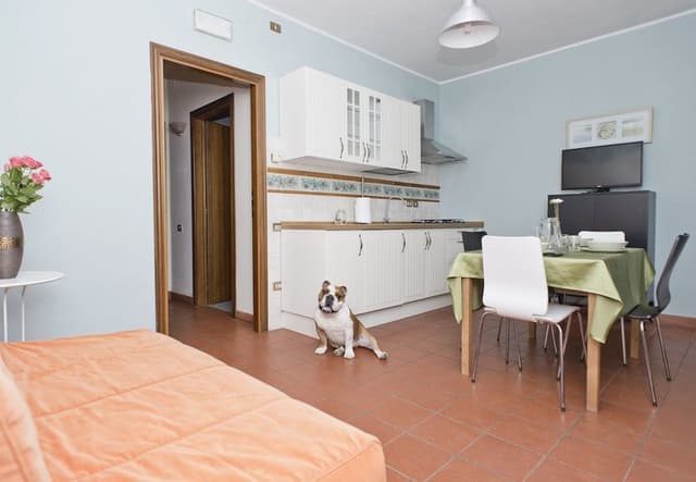 Superior Apartment, 2 Bedrooms