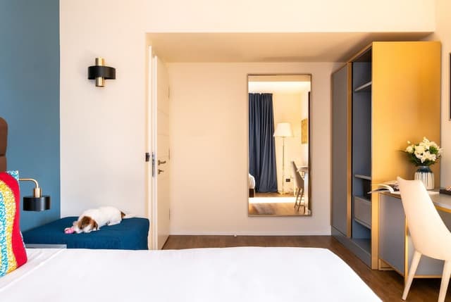 Deluxe Double or Twin Room