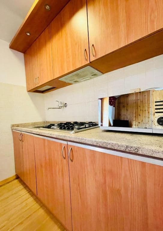 Family Deluxe One-Bedroom Apartment