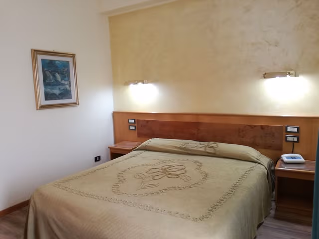 Basic Twin Room