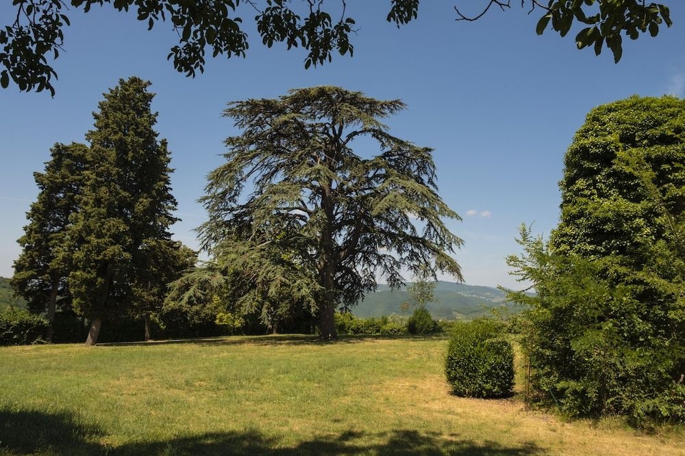 Agriturismo Fattoria Lavacchio0