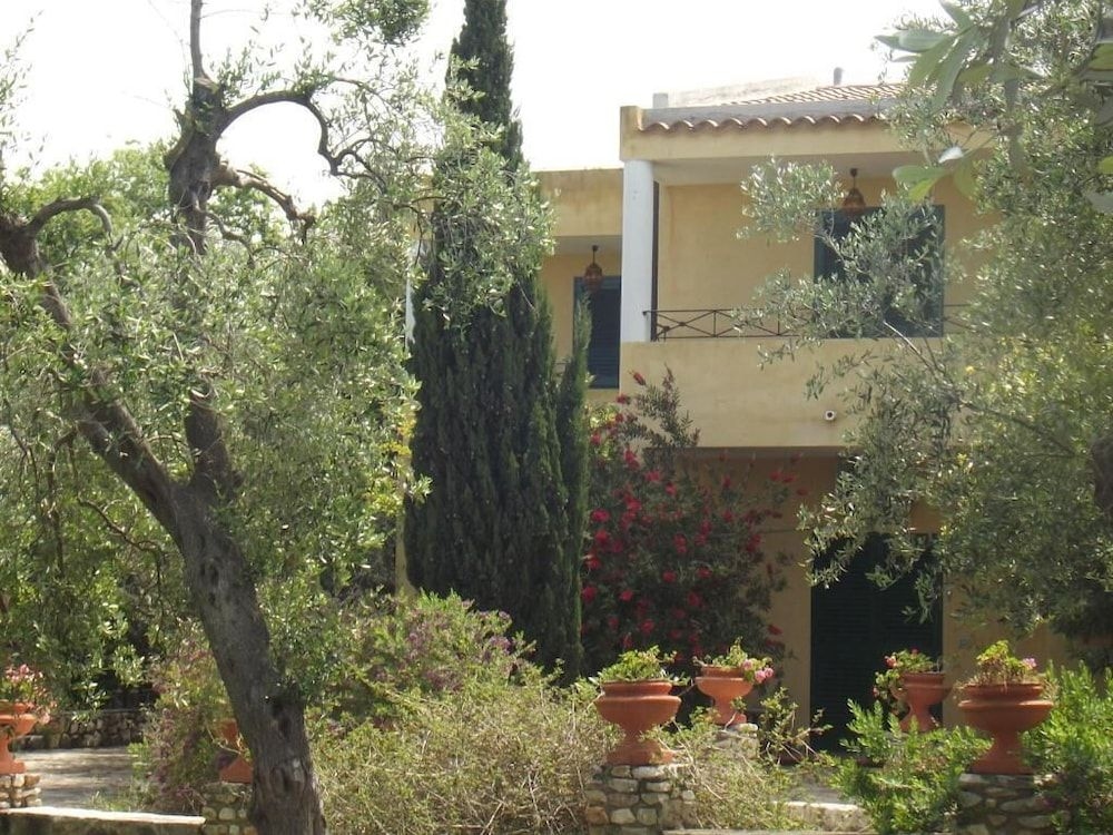 Poggio degli Ulivi0