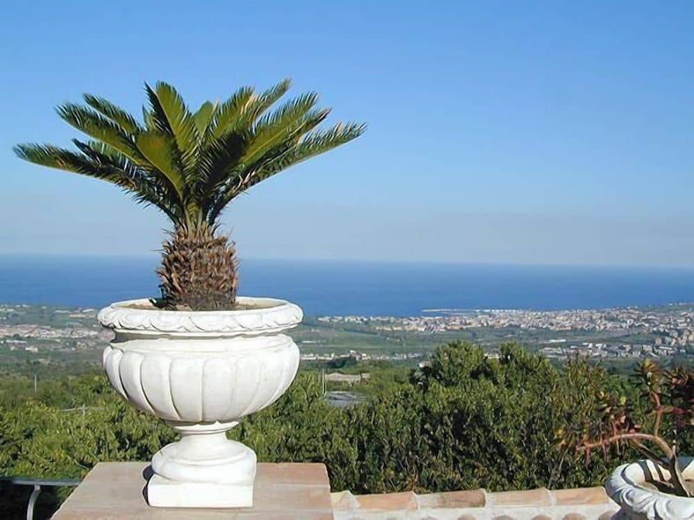 Il Ciliegio dell'Etna Il Ciliegio dell'Etna