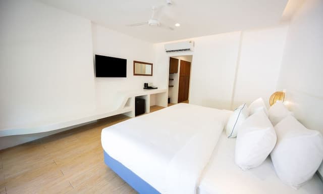 Coconut Hideaway (Superior Double or Twin Room)
