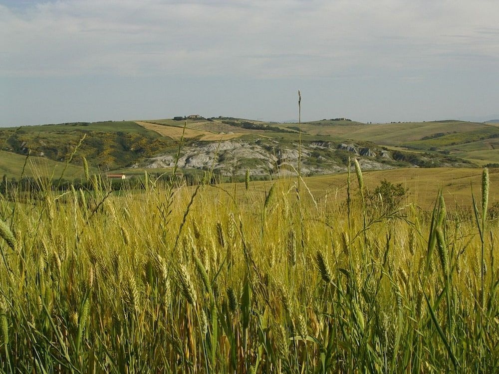 Agriturismo Bonello4
