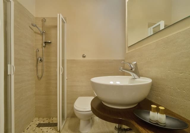 Executive Double or Twin Room (SPA access)