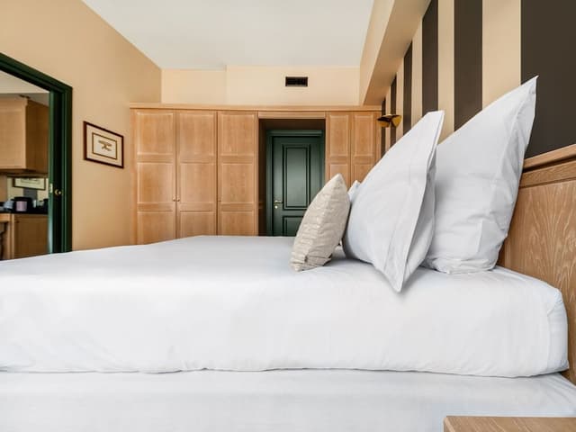 1 Bedroom Apartment with Sofa Bed