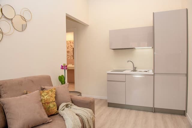 Deluxe Apartment, City View