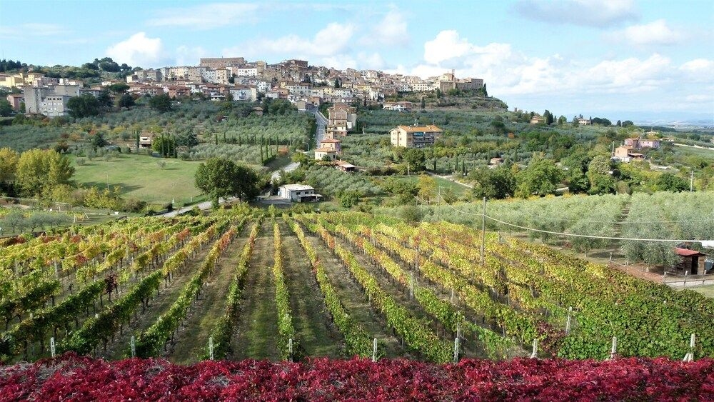 Agriturismo La Pietriccia2