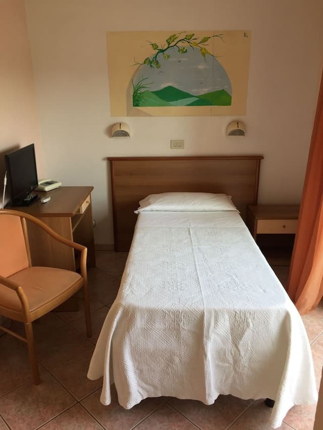 Single Room, 1 Twin Bed